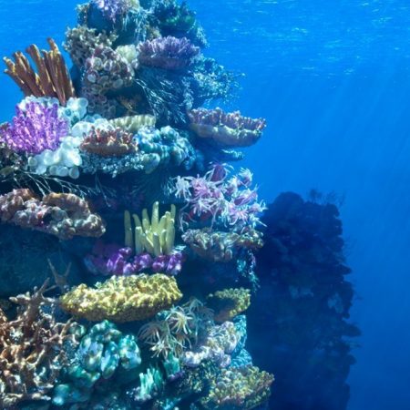 Albanese_sec1